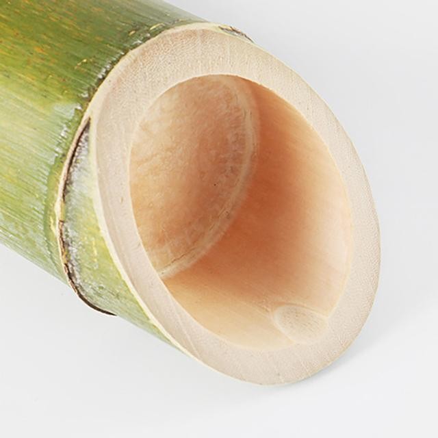 熊猫吃的竹子是草还是树（竹子是草不是树）(2)