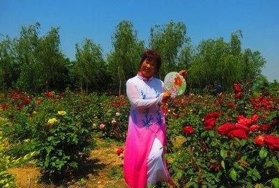 母亲节对妈妈说的话,母亲节来了 祝所有妈妈母亲节快乐图3