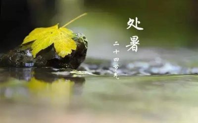 ​处暑节气以后是不是就凉快了（处暑节气含义习俗盘点）