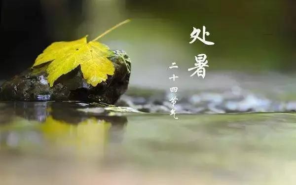 处暑节气以后是不是就凉快了（处暑节气含义习俗盘点）(1)
