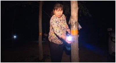 ​安徽砀山：夏夜捉“爬猴”老少齐动员
