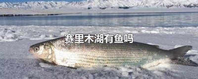 ​赛里木湖里面有鱼吗 赛里木湖的鱼