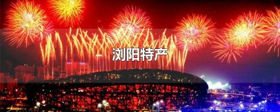 ​浏阳特产