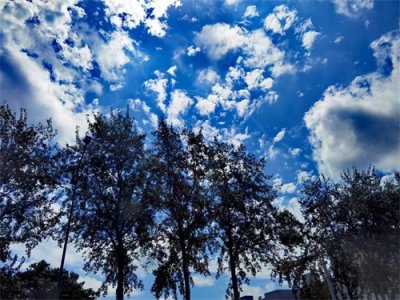 ​变天（散文）