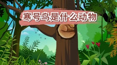​神奇的寒号鸟：探秘其生存环境、食性和繁殖特征