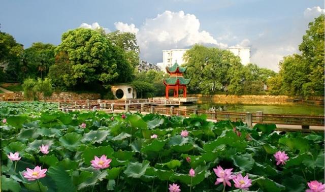 中南大学报什么专业好（34中南大学）(12)