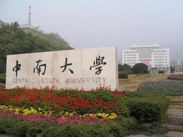 中南大学报什么专业好（34中南大学）(2)