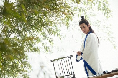 ​张无忌的皇位之路：野心、才干与江湖的交织