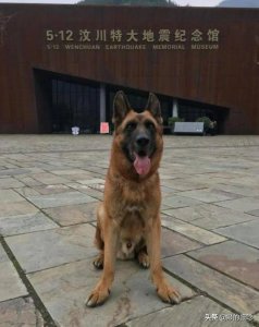 ​参与汶川地震67名搜救“战士”已全部离世