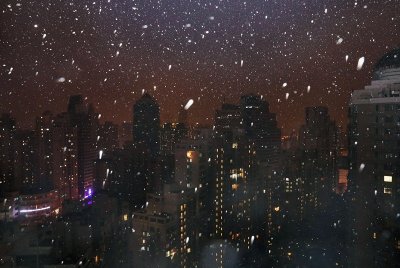 ​上海，下雪了！一大波美图收好！千万不要出去玩雪