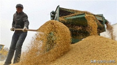 ​中国法治大案-农民王力军收购玉米被判非法经营罪，再审无罪