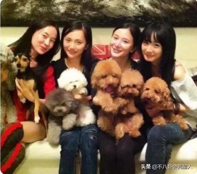 杨幂绯闻事件回顾（人前姐妹情深背后互相插刀）(9)