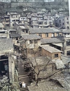 ​轰动山城的胡世合案（金祥明 李纯文）