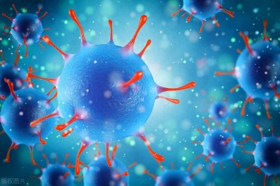 ​革兰染色为细菌的分类、鉴定和研究提供了有力工具