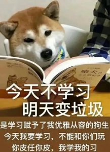 ​副教授英文怎么说（这些和大学有关的英文单词，你知道吗？）