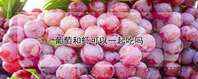 ​葡萄和虾能一起吃 葡萄与虾能一起吃吗