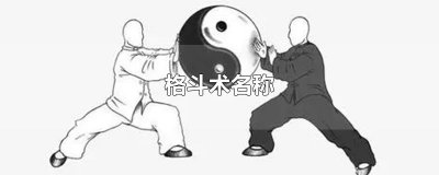 ​格斗术名称