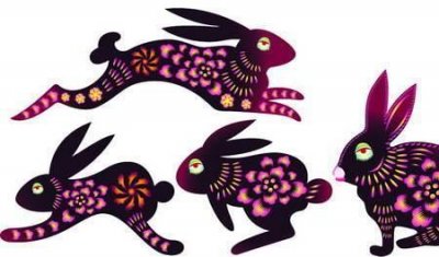 ​共和国乙卯年是哪一年