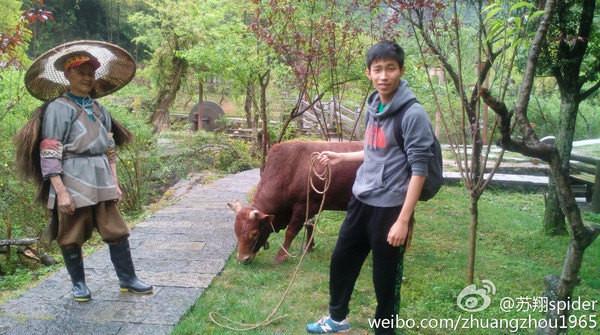 酉阳桃花源游览路线图高清(走进酉阳桃花源)(8)