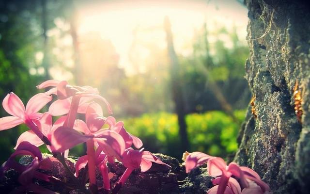 生活大男子主义是什么样的表现(他们有这3个明显特征) 2