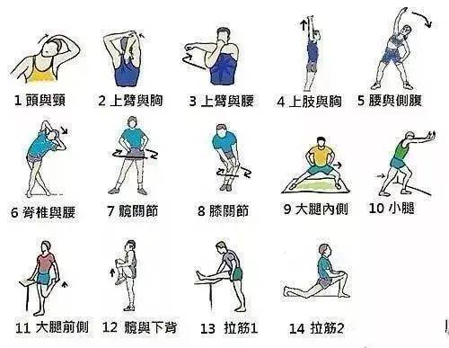 适合青少年的锻炼肌肉的方法