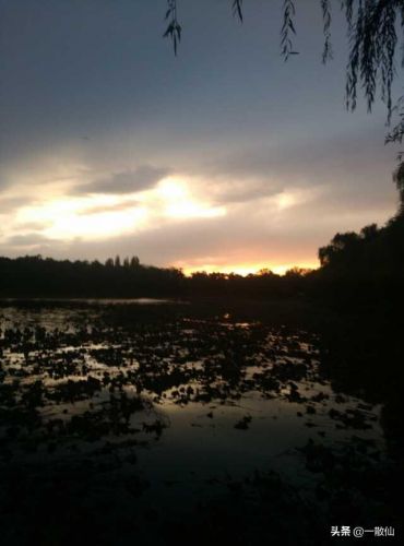 长痛不如短痛的含义？长痛不如短痛的文案-第1张图片-