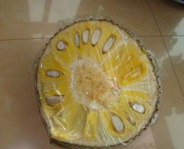 ​菠萝蜜切开一半剩下的不剥开能保存么,菠萝蜜切一半还能放熟吗