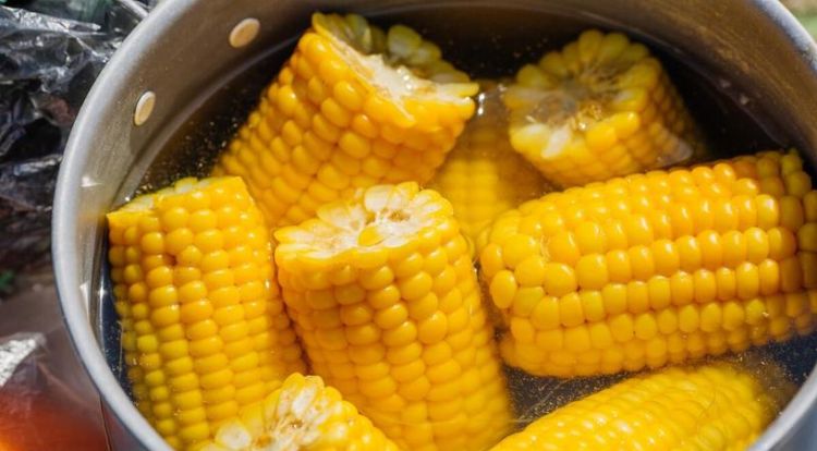 玉米需要蒸多久才能熟