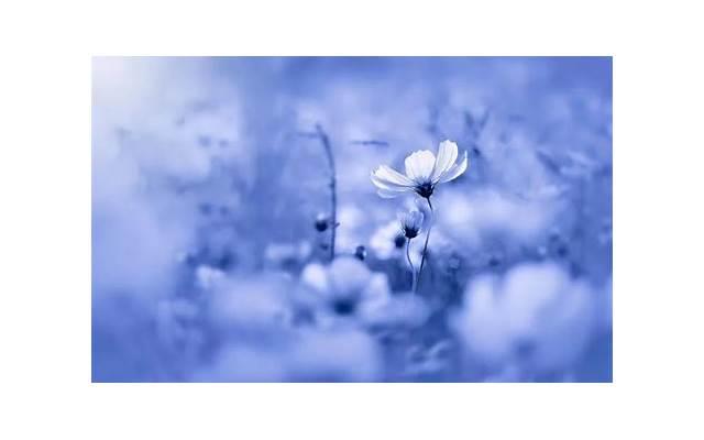 性高潮是什么感觉 女性如何达到性高潮