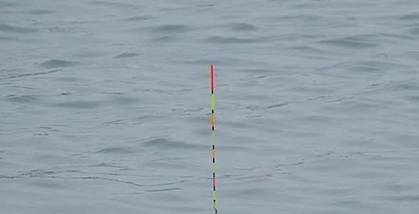 飞铅钓法的应用技巧，很多钓鱼老手都未必知道