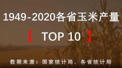 ​全国各地玉米总产量排名（500多亩玉米总产量110多万斤）