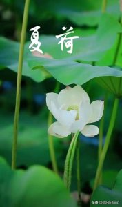 ​什么才是有责任感，什么才是负责任呢？