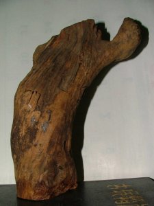 ​沉香木的功效是什么（沉香木的功效与作用）