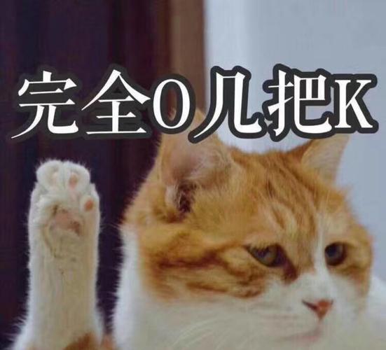 ojbk是什么意思网络用语（ojbk解释）