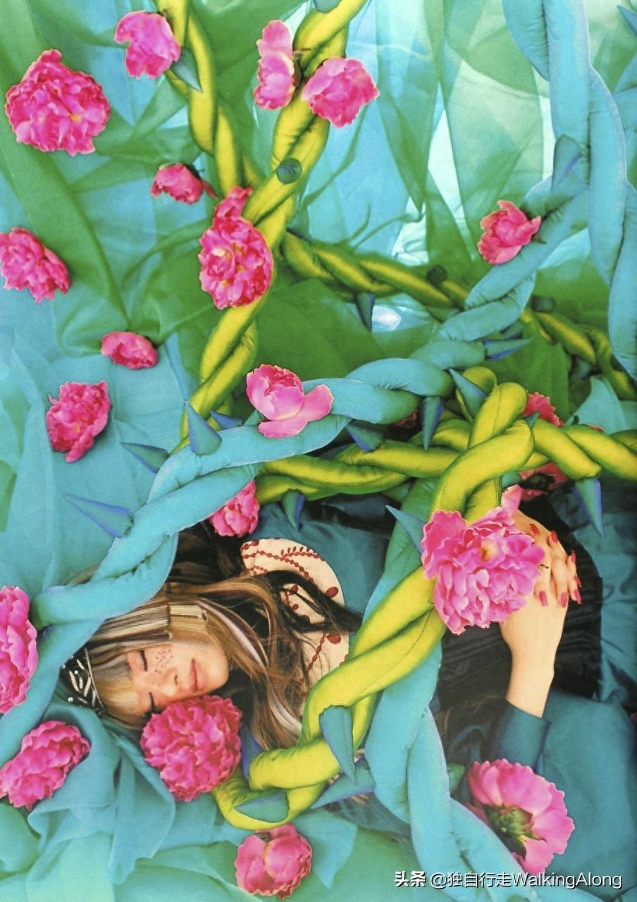 蜷川实花 Ninagawa Mika—作品赏析