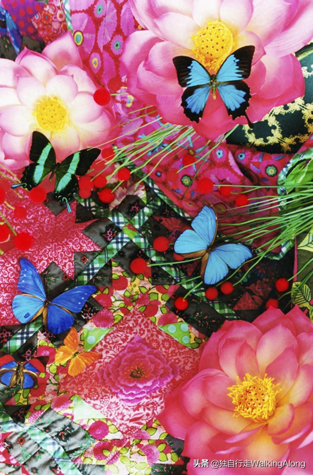 蜷川实花 Ninagawa Mika—作品赏析