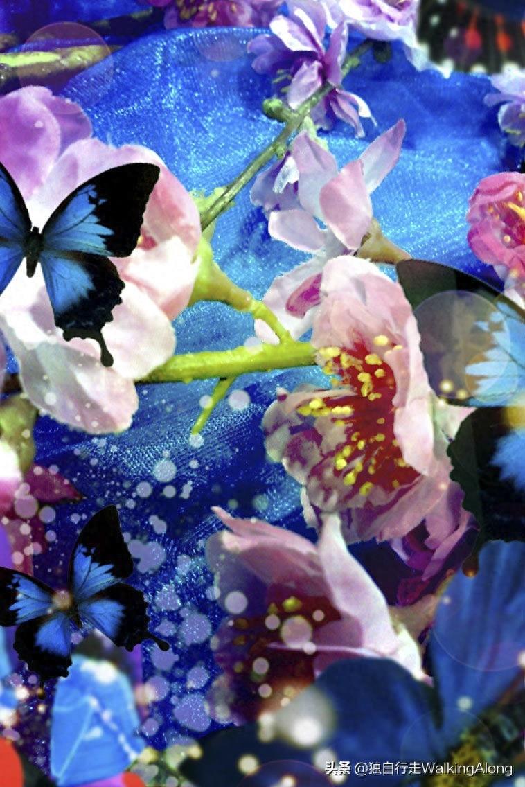 蜷川实花 Ninagawa Mika—作品赏析