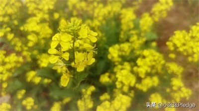 ​处理家庭成员之间的矛盾和不满，都有什么好的方法呢？