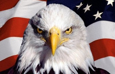 ​美国的国鸟是鹰，法国的国鸟是雄鸡，中国的国鸟是啥？却鲜有人知