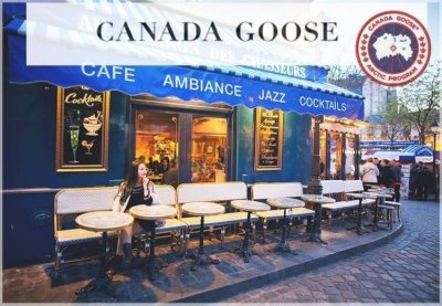 ​市值87亿的“Canada Goose加拿大鹅”凭什么成为加拿大国宝？