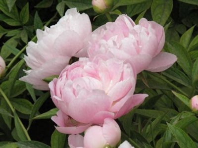 ​今生所有遇见，都是命中注定，缘来缘去，都是天意！