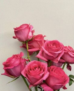 ​情人节搞笑段子，适合发朋友圈