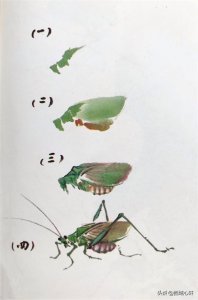 ​美术技法｜十二、纺织娘的画法
