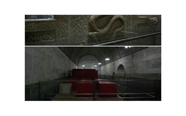 富不富，客厅树，3种“富贵树”选一盆，健康好运天天来