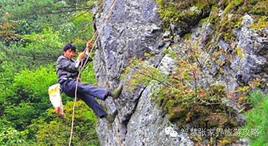 张家界景区必吃美食(张家界旅游攻略)(5)