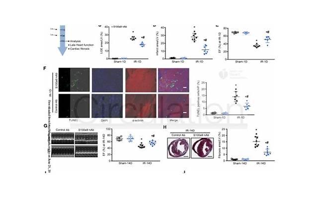 坤少攻心术免费阅读攻心术下载电子书 坤少攻心术免费阅读攻心术下载电子书