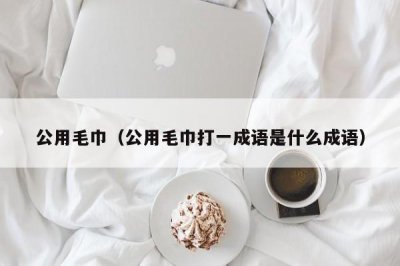 ​公用毛巾（公用毛巾打一成语是什么成语）