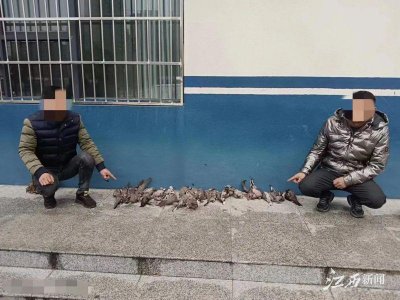 ​用弹弓打鸟，自己成“笼中鸟”