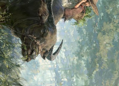 ​《天空之城表达的感情 知乎》精选15条