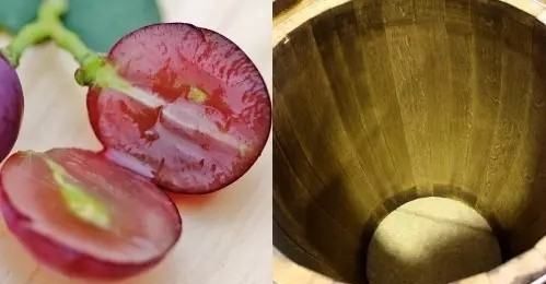 葡萄酒单宁来自哪里,酒知识:什么是单宁图4